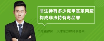 非法持有多少克甲基苯丙胺构成非法持有毒品罪