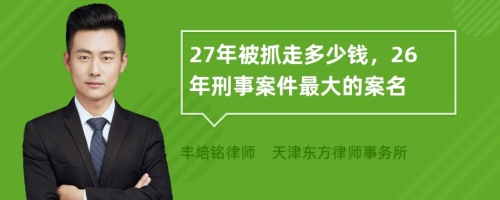 27年被抓走多少钱，26年刑事案件最大的案名