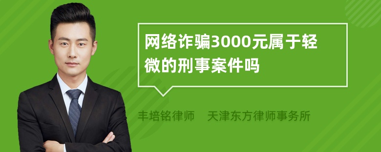 网络诈骗3000元属于轻微的刑事案件吗