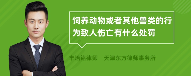 饲养动物或者其他兽类的行为致人伤亡有什么处罚