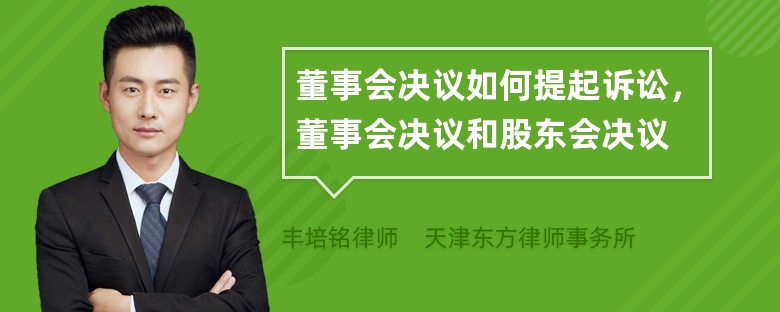 董事会决议如何提起诉讼，董事会决议和股东会决议