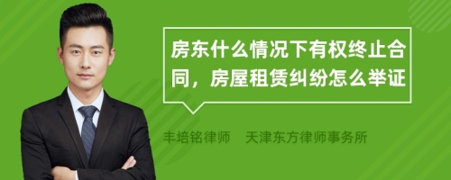 房东什么情况下有权终止合同，房屋租赁纠纷怎么举证