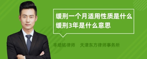 缓刑一个月适用性质是什么缓刑3年是什么意思