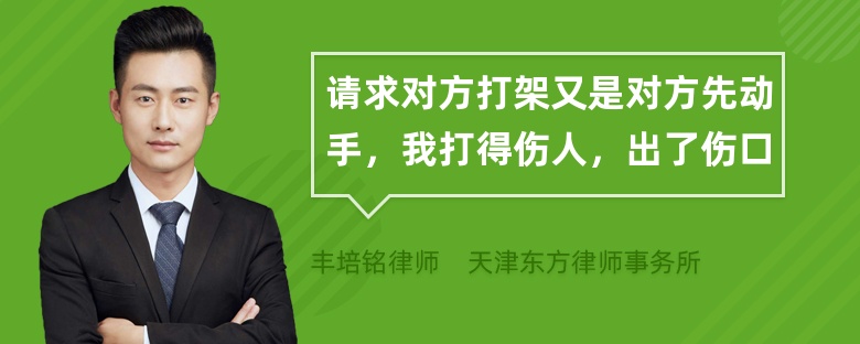 请求对方打架又是对方先动手，我打得伤人，出了伤口