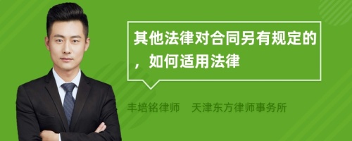 其他法律对合同另有规定的，如何适用法律