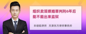 组织卖淫嫖娼罪判刑6年后能不能出来监狱