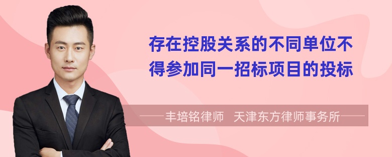 存在控股关系的不同单位不得参加同一招标项目的投标