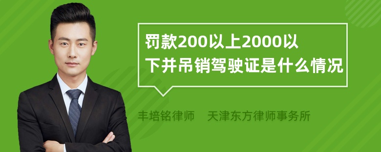 罚款200以上2000以下并吊销驾驶证是什么情况