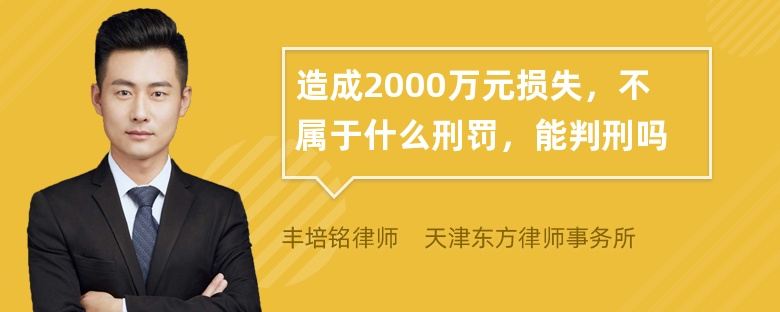 造成2000万元损失，不属于什么刑罚，能判刑吗