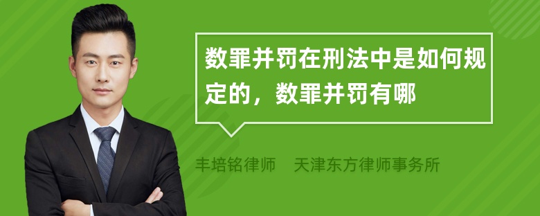 数罪并罚在刑法中是如何规定的，数罪并罚有哪