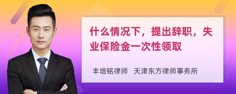 什么情况下，提出辞职，失业保险金一次性领取