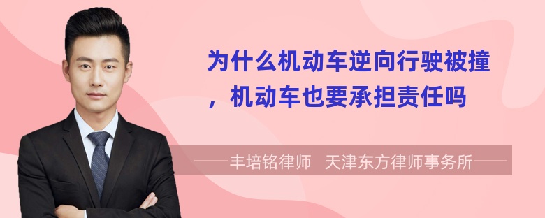 为什么机动车逆向行驶被撞，机动车也要承担责任吗