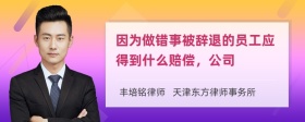 因为做错事被辞退的员工应得到什么赔偿，公司