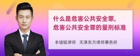 什么是危害公共安全罪, 危害公共安全罪的量刑标准