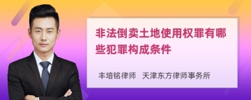 非法倒卖土地使用权罪有哪些犯罪构成条件