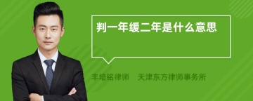 判一年缓二年是什么意思