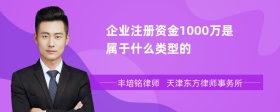 企业注册资金1000万是属于什么类型的