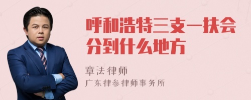 呼和浩特三支一扶会分到什么地方