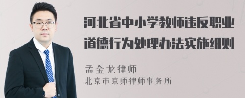 河北省中小学教师违反职业道德行为处理办法实施细则
