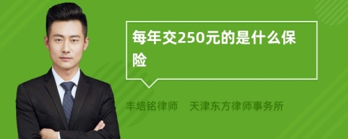 每年交250元的是什么保险