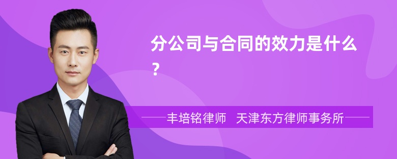 分公司与合同的效力是什么？