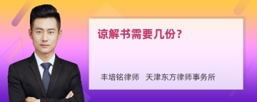 谅解书需要几份？