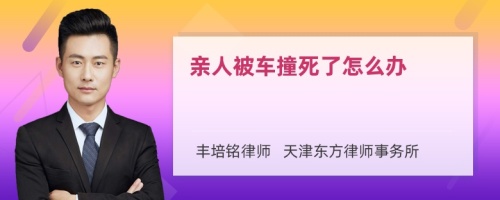 亲人被车撞死了怎么办