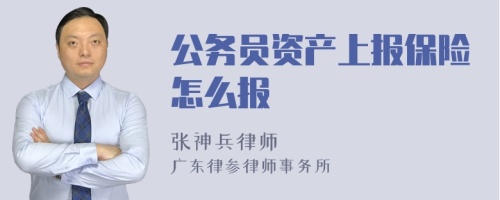 公务员资产上报保险怎么报