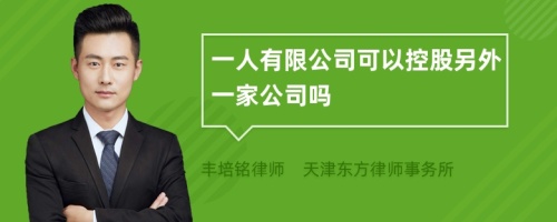 一人有限公司可以控股另外一家公司吗