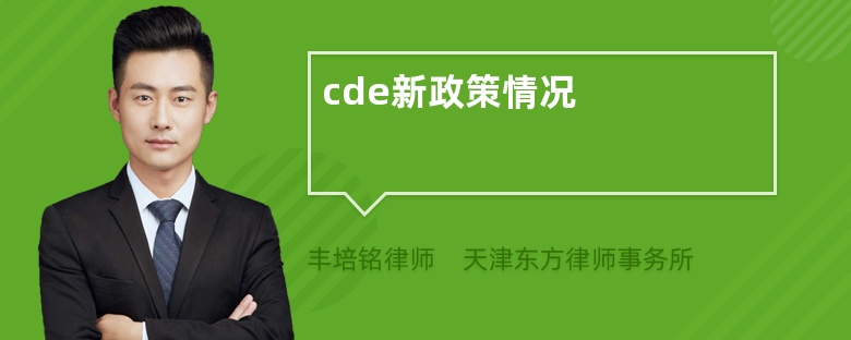 cde新政策情况