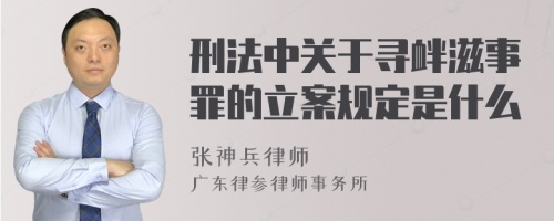 刑法中关于寻衅滋事罪的立案规定是什么