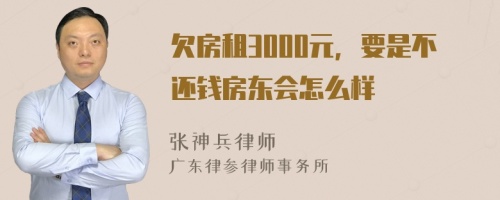 欠房租3000元，要是不还钱房东会怎么样