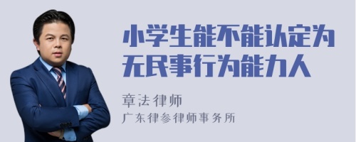 小学生能不能认定为无民事行为能力人