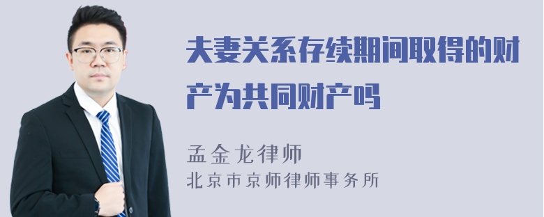 夫妻关系存续期间取得的财产为共同财产吗