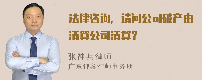 法律咨询，请问公司破产由清算公司清算？