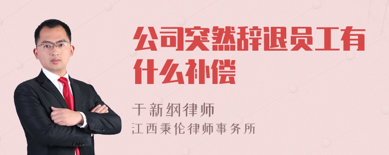 公司突然辞退员工有什么补偿