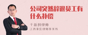 公司突然辞退员工有什么补偿