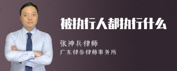 被执行人都执行什么