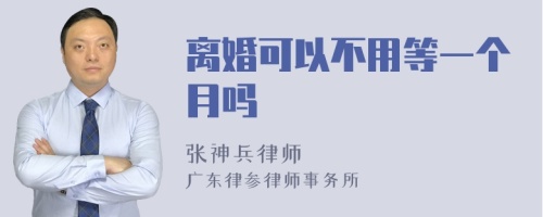 离婚可以不用等一个月吗