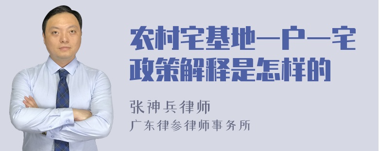 农村宅基地一户一宅政策解释是怎样的