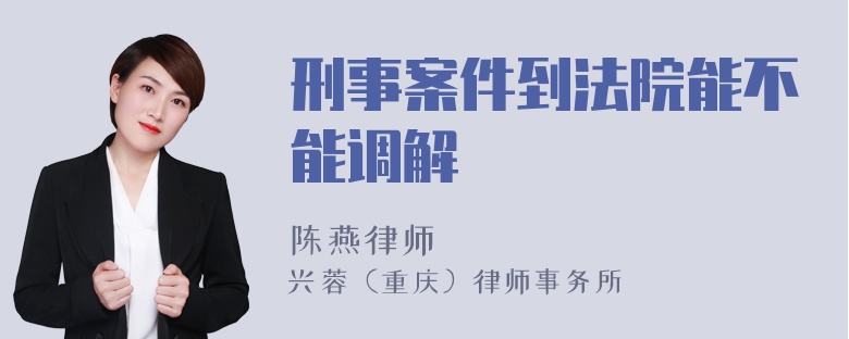 刑事案件到法院能不能调解