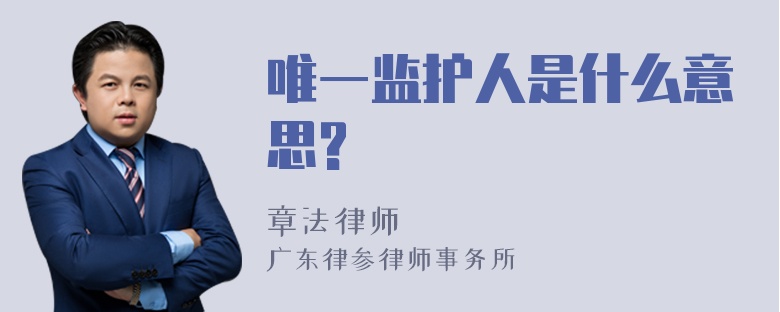 唯一监护人是什么意思?