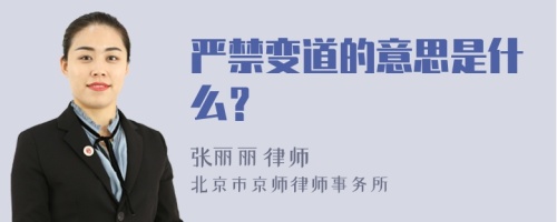 严禁变道的意思是什么？