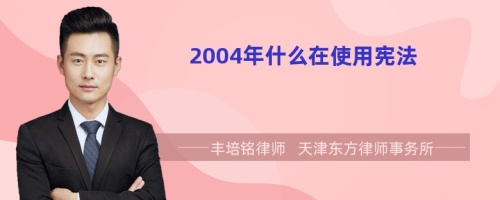 2004年什么在使用宪法