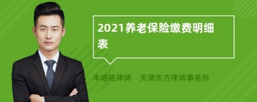 2021养老保险缴费明细表