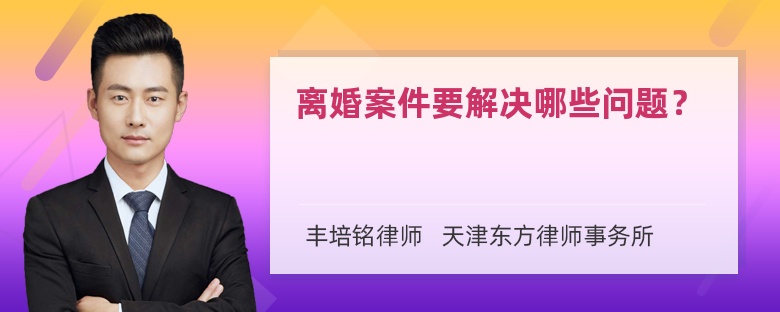 离婚案件要解决哪些问题？