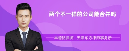 两个不一样的公司能合并吗