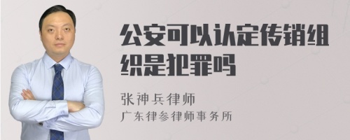 公安可以认定传销组织是犯罪吗