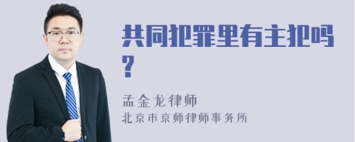 共同犯罪里有主犯吗?