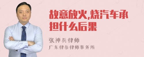 故意放火,烧汽车承担什么后果